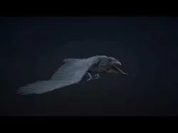 Crow animations Low-poly 3D model