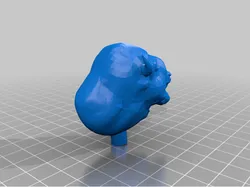 CU Buffs Extruder Spinner