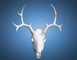 Deer Skull Base Mesh Low-poly 3D model