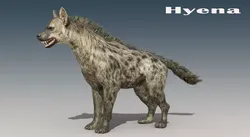 Hyena Rigged Low-poly 3D model