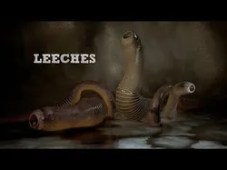Leeches snake Low-poly 3D model