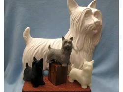 Long Haired Terrier