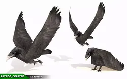 Low-poly Crow Rigged  Animated 3D model Low-poly 3D model