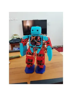 Modified Vivi Robot for MG90S servo