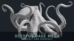 Octopus Base Mesh Low-poly 3D model