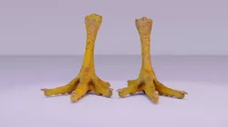Pair chicken feet high-poly 3D model