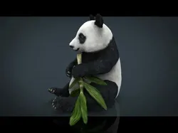 PANDA bear holding leaf Low-poly 3D model