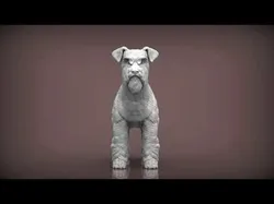schnauzer dog 3D print model