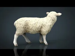 Sheep 2 Low-poly 3D model