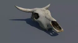 skull animal Low-poly 3D model