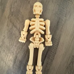 Snap Skeleton