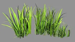 Tall Grass A Stylized Low-poly 3D model