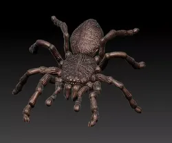 Tarantula spider  3D print model