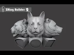 Zring Builder 2 3D model