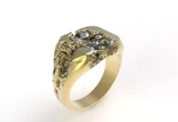 Atoll Slab Ring 3D print model