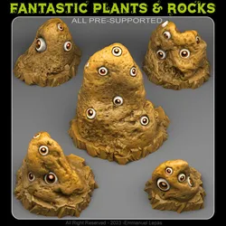 CURIOUS EYES STONES