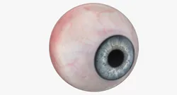 Human Blue Eyeball 3D model