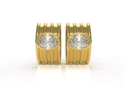 Ovel Earinges 3D print model
