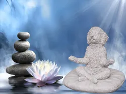 Perro Zen - Goldendoodle - Modelo de impresión 3D gratuito