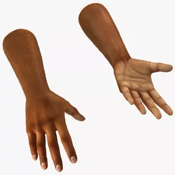 Realistic Human Arms and Hands Fur 3D model