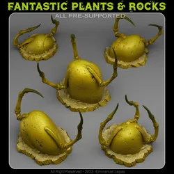 SPIDER STONES