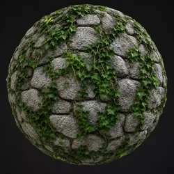 Stone Wall with Ivy Seamless Texture Texture