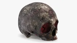 Anatomical Horror Skull 3D model