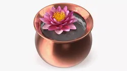 Decorative Copper Bowl with Floating Lotus Flower 3D model