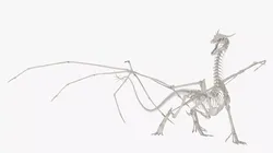 Dragon Skeleton Rigged for Maya 3D model