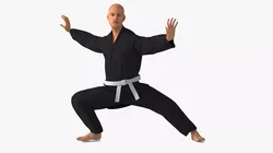 Martial Arts Practitioner In Karate Gi Rigged for Cinema 4D 3D model