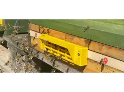 Beekeeper