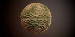 Brick Vines PBR SEAMLESS Texture Texture