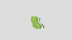 Kintyre_Rapid_3d_mesh