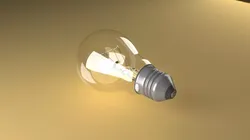 Light Bulb 3D model