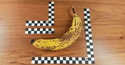 Photography Scale | Photo Referece Scale