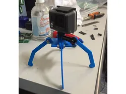Gopro holder