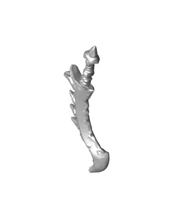 Kat - Monster Hunter - Mixed wepons - PRESUPPORTED - Illustrated and Stats - 32mm scale