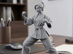mujer en kárate - Modelo de impresión 3D gratuito