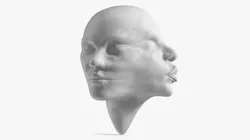 Abstract Sculpture of Flowing Facial Forms 3D model