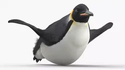 Belly Gliding Emperor Penguin Fur 3D model