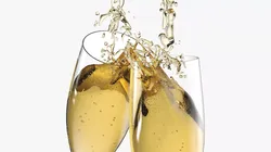 Clinking Flutes with Champagne Splash Motion 3D model