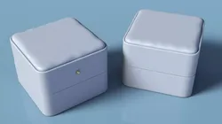 Compact Ring Case Leather Button Lock Grey 3D model