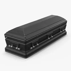 Ebony Coffin 3D model