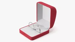 Engagement Rings Silver Color in Velvet Case 3D model
