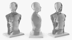 Gel Simulation Torso Without Anatomy 3D model