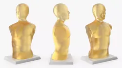 Molded Shooting Dummy Torso 3D model