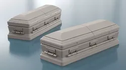 Wooden Coffin Ivory Color 3D model