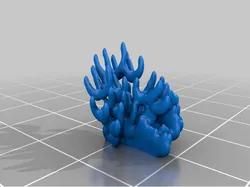 Coral 2