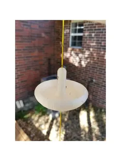 Humming Bird Feeder ANTi