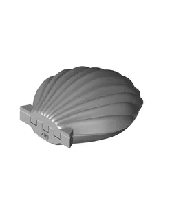 Seashell Shaped Box (Snap)